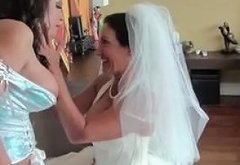 Before The Wedding Took Place Free Babe Porn 3b Xhamster
